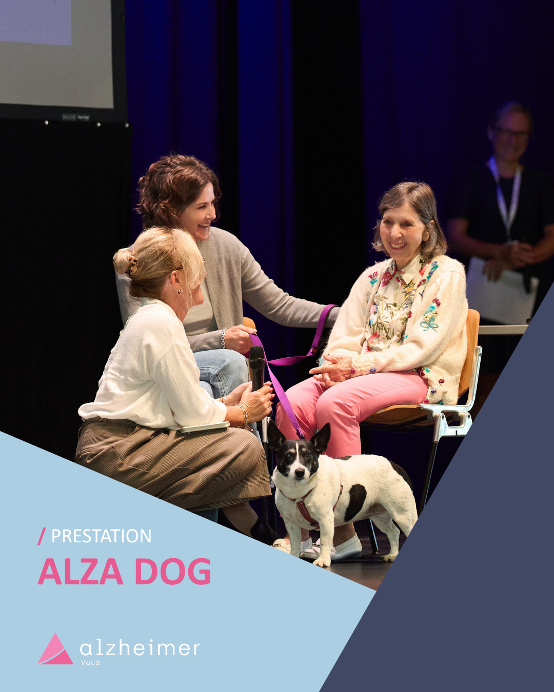Présentation ALZADOG